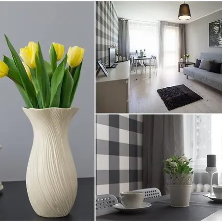 Apartament Wrzosy *